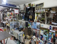 تصاويری از موزهی شخصي فواد