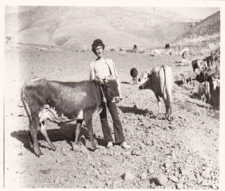 زبان حيوانات