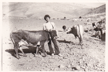 زبان حيوانات