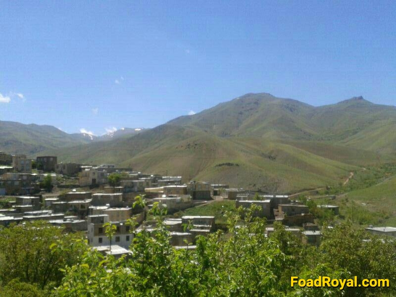 تصاويری از صلوات آباد