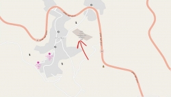 ام پي تي فواد